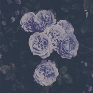 妇与子乱伦视频
